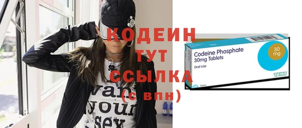 мяу мяу кристалл Гусь-Хрустальный