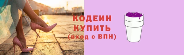 мяу мяу кристалл Гусь-Хрустальный