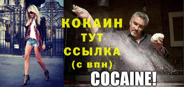 дмт Горняк